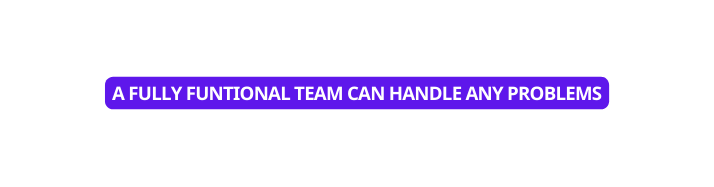 A FULLY FUNTIONAL TEAM CAN HANDLE ANY PROBLEMS